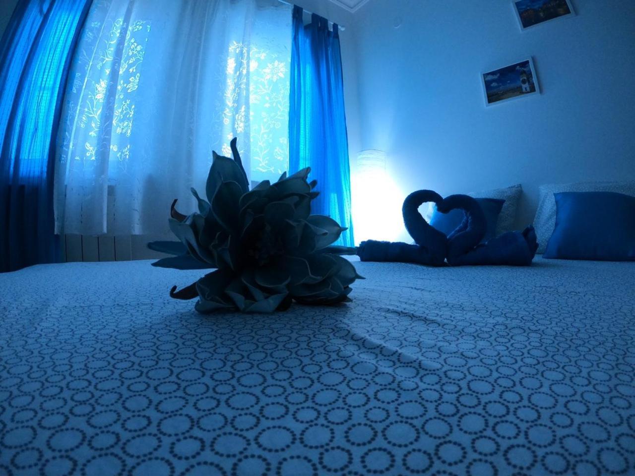 Fedra Apartment Novi Sad Luaran gambar